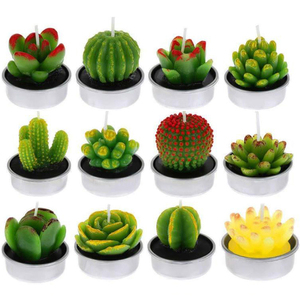 <span class=keywords><strong>Kit</strong></span> de bougies de plantes de Cactus succulentes décoratives, mignonnes bougies sans fumée, parfaites pour le Festival, les accessoires de mariage, la fête à la <span class=keywords><strong>maison</strong></span> - Product Image 3