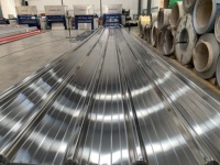 Lámina Corrugada de Acero Inoxidable Resistente a la Corrosión, Duradera, para Techos y Refuerzo de Hormigón