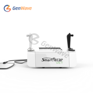 Radiofrecuencia portátil Tecar RET CET Rf System <span class=keywords><strong>Machine</strong></span> Vet Fisioterapia Tecar Therapi Diatermi Device - Product Image 2