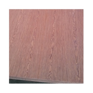 Precio de hoja de madera contrachapada de lujo Madera de arce Madera de haya Tilo Madera de pino 3mm-21mm Playwood - Product Image 3
