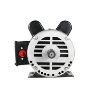 Moteur électrique de compresseur d'air AC de type NEMA monophasé 5 HP 56HZ ODP 143/5T, cadre 230V, taille nouvelle