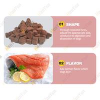Compléments Musculaires Premium Riches en Protéines pour Chiens – Friandises Tendres à l'Huile de Poisson pour la Santé Articulaire et le Soutien Osseux – Absorption Rapide – Pour Pitbulls et Grands Chiens