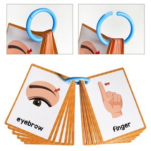 Materiales Didácticos para Principiantes en Lectura, Vocabulario para Autismo, Palabras de Alta Frecuencia, Partes del Cuerpo, Tarjetas de Aprendizaje - Product Image 3