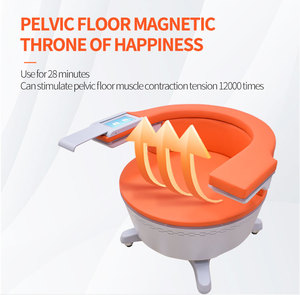 Aparelho terapêutico magnético para uso doméstico beleza equipamentos - Product Image 4