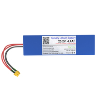 Batterie au lithium Li-ion personnalisée 25,2 V 4,4 Ah NCM OEM pour AGV, tondeuse à gazon, robot nettoyeur de piscine, aspirateur robot, chariot électrique