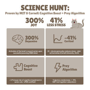 Túnel de Juego para Gatos, Diseño de Dibujos Animados, Resistente, Bonito e Inteligente, para Ejercicio, Entrenamiento Interactivo, Relajación, Plegable, de Lona, para Interiores - Product Image 4