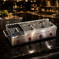 Grille à poulet au gaz en acier inoxydable de qualité commerciale, simple, avec friteuse grande et petite pour cuisine de restaurant