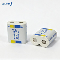 Batterie au lithium CR-P2 6V 1500mAh pour flash d'appareil photo et équipement photographique