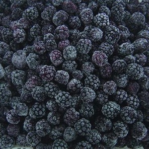 <span class=keywords><strong>Power</strong></span> Factory - Myrtilles Entières Surgelées IQF en Vrac, Bon Prix, Bonne Qualité, HACCP, Sans Additifs, Carton de 10 kg - Product Image 2