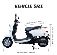 Moto électrique sportive CKD SKD 10 pouces 600/800W 50 km/h, nouveau modèle, prix d'usine, cyclomoteur électrique pour adultes