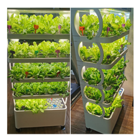 Tour de système hydroponique intelligente à haute efficacité pour la plantation de légumes