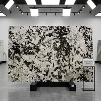 Dalle Exotique Naturelle Brésilienne Alaska White Polie, Pierre Crème Blanche avec Veines Noires pour Comptoir de Cuisine de Luxe et Revêtement Mural