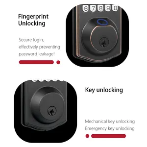 Kunci pintu elektronik kunci elektrik sidik jari, kunci pintu elektronik keamanan tunggal baut tunggal Digital sidik jari dapat disesuaikan nikel hitam