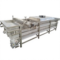 Hete verkoop Fruit & Groente Hetelucht Droogmachine met Motor SUS304 RVS Continue Band Dehydrator 500kg/u Capaciteit