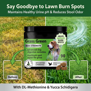 Masticables Naturales de Hierba para Perros con Probióticos y Multivitaminas, Neutralizador de Orina, Golosinas para el Césped, Suplementos para la Salud Urinaria e Intestinal - Product Image 3