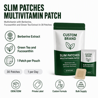 Patchs minceur certifiés ISO, sans OGM, HACCP, GMP, multivitamines, extrait de berbérine, service de création d'étiquettes personnalisées, solution de construction de marque