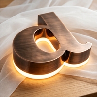 Lettres lumineuses LED personnalisées avec alimentation AC/DC pour les entreprises de publicité, les bars, les bâtiments - Utilisation directionnelle, multicolores, IP65