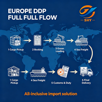 Transporte Marítimo DDP Puerta a Puerta, Agente de Transporte de China a Eslovenia y Europa