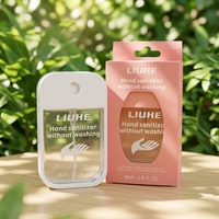 OEM et ODM vente en gros sur Internet désinfectant pour les mains carré mini désinfectant 30ml Logo