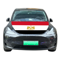Drapeau de couverture de capot de voiture national égyptien drapeau de couverture de moteur de voiture vente en gros de tissu élastique personnalisé vente directe d'usine