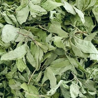 Vente en gros de thé en feuilles de menthe poivrée séchée Bo he Thé en vrac d'herbes santé et minceur Thé aux feuilles de menthe à base de plantes