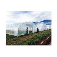Serre tunnel en film PE à travée unique, petite serre agricole et horticole pour la culture de fruits et légumes