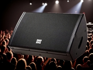 ลำโพงแบบพาสซีฟ15นิ้วไดรเวอร์ HF 1.73นิ้ว250W RMS 60Hz-18Hz เหมาะสำหรับการเสริมแรงเสียงในโรงละคร - Product Image 5