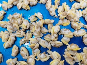 Buon prezzo congelato collo corto vongole carne Premium cina crostacei pesci - Product Image 6