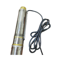 Pompe pour puits profond 1 pouce 80m tête haute 750w Contrôle externe Pompe submersible pour puits profonds solaire en acier inoxydable