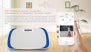 Profesional ultrafino más nuevo Vibro Power Board vibración placa ajuste masaje - Product Image 6