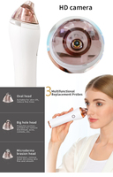 Outils de nettoyage du visage, extracteur visuel d'acné, nettoyeur de pores, aspirateur pour points noirs