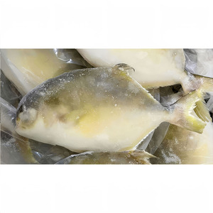 Nueva llegada Premium Golden Pompano Venta al por mayor Exportación Farm Criado Golden Pomfret Fish - Product Image 6
