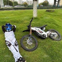 Surron Light Bee X 72V 2026 Amélioré et Avancé, Vélo Électrique Tout-Terrain Professionnel avec Absorption des Chocs Fluide pour la Course