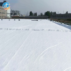 Tissu non tissé de géotextile de vente directe d'usine pour la décharge avec la géomembrane de HDPE - Product Image 6