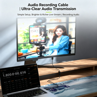 Cable de Audio USB 2.0 al por Mayor, Cable de Transferencia de Audio Bidireccional con Trenzado de Nailon, Cable Estéreo sin Pérdidas para Mezclador de PC, Logotipo Personalizado OEM para Automóvil