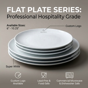 Lot de vaisselle en porcelaine blanche en gros, qualité commerciale, pour projets hôteliers et restauration - Product Image 1