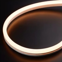 Bande lumineuse LED néon flexible en silicone IP67 étanche pour extérieur, 12 mm x 25 mm, 12 V CC, rouleau de 5 m, sans points