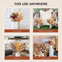 G5 Offre spéciale Bouquet d'herbe de pampa courte et duveteuse Bouquet d'herbe de pampa séchée Décor d'herbe de pampa séchée