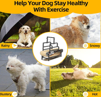 Peralatan Olahraga Treadmill Anjing HOT 2026, Lipat, Indoor & Outdoor