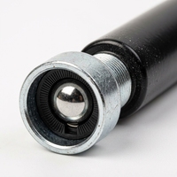 Vérin à gaz robuste pour fenêtre en verre, à résistance contrôlée, finition noire, direct usine