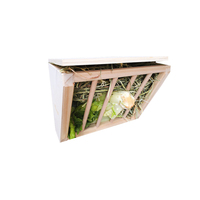 Support en bois pour graines de petits animaux, 50 pièces, porte-herbe, mangeoire en bois, nourriture