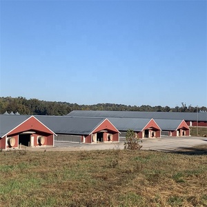 Struttura in Acciaio per Allevamento Avicolo Stile Fattoria, Capannone per Polli Prefabbricato Marca <span class=keywords><strong>RT</strong></span>, Garanzia 5 Anni, Resistente a Venti Oltre 121 Mph - Product Image 2