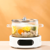 Casserole à soupe à double oreilles en verre borosilicate haute résistance à la température, cuisinière électrique en céramique, casserole à ragoût, casserole à nouilles instantanées