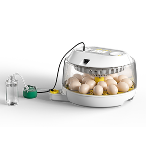 2026 कारखाने प्रत्यक्ष आपूर्ति नए डिजाइन 18 चिकन अंडे इनक्यूबेटर और 79 क्वेल अंडे इनक्यूबेटर डिजिटल तापमान नियंत्रण - Product Image 1