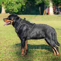 Harnais tactique pour chien anti-traction réglable et réfléchissant, ensemble de laisse de luxe pour animaux de compagnie – Vente chaude directe usine