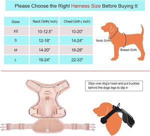OEM Custom Solid Luxury Breathable <b>Dog</b> Harness Set Ribbons Nylon Leash Collar Padded Eco-Friendly Pet Harness Walking Training - Product Image 2