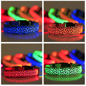 KingHon Led Dog Pets Collars Usb Rechargeable With Design Glowing Dog Collar Adjustable Flashing Collar Led for Dogs - Product Image 6
