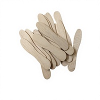 Bâtonnets de crème glacée jetables en bois de bouleau naturel, qualité alimentaire, flexibles, portables, écologiques, prix usine