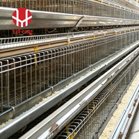 Cage à poules pondeuses de type A à 4 niveaux avec système d'alimentation et d'abreuvement automatique, courroie de fumier, collecte d'œufs CE, en acier galvanisé
