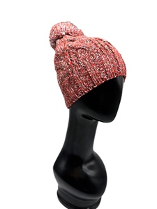 Hot Selling Plain Knit And <b>Cable</b> Pattern Adult Beanie Leather <b>Patch</b> And Silicone Printing Method Winter Beanie - Product Image 6